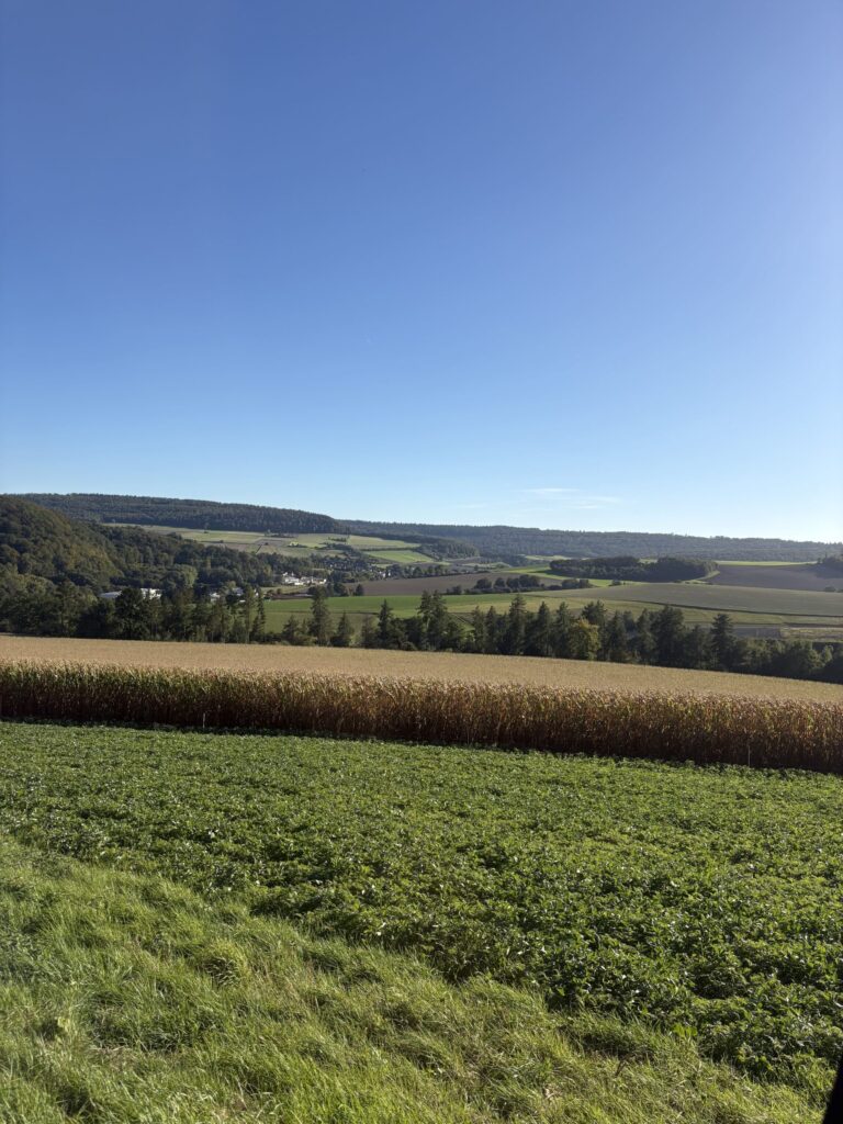 Grenzbegehung 2026 Ausblick